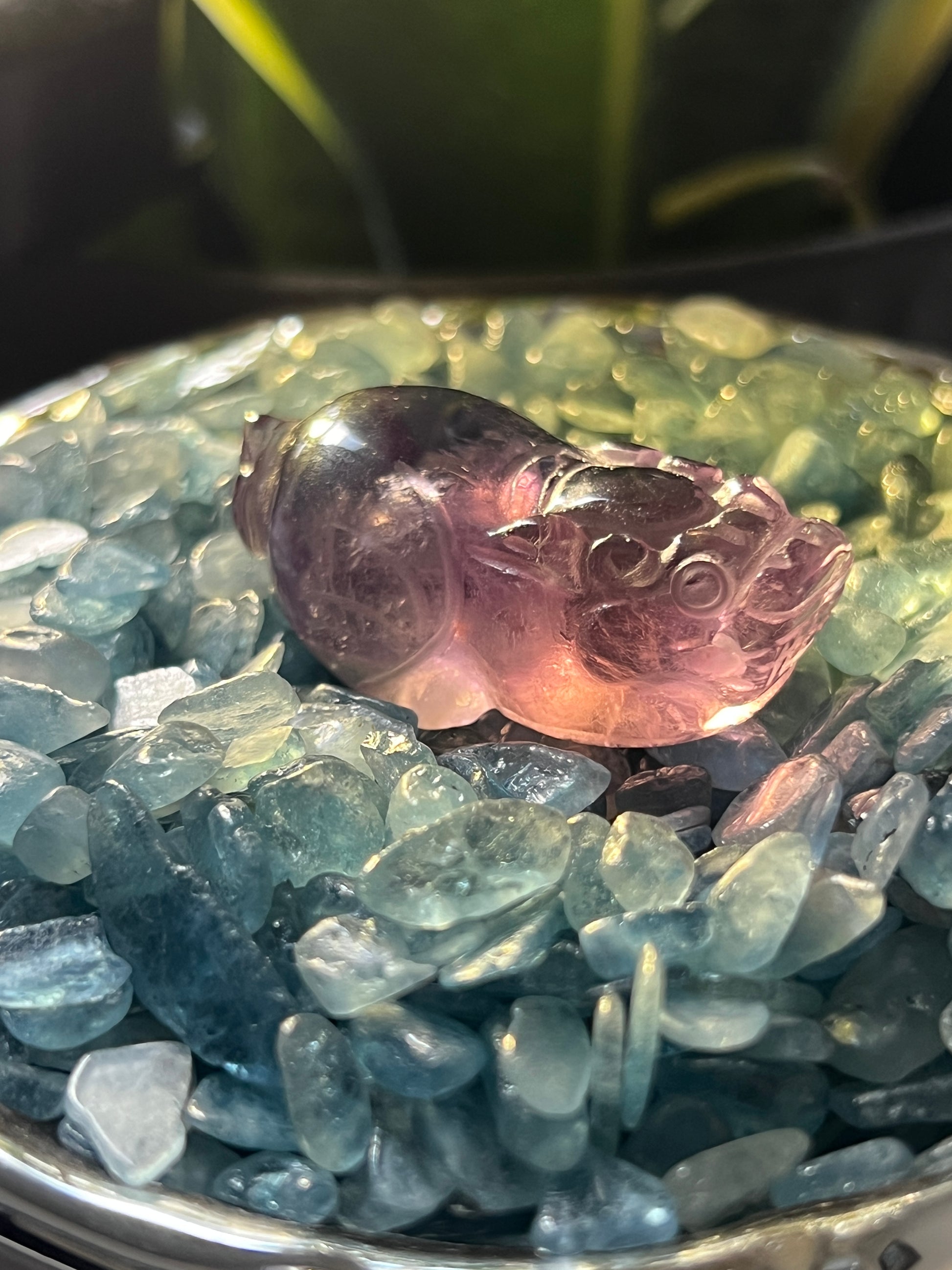 Solid Amethyst Pixiu