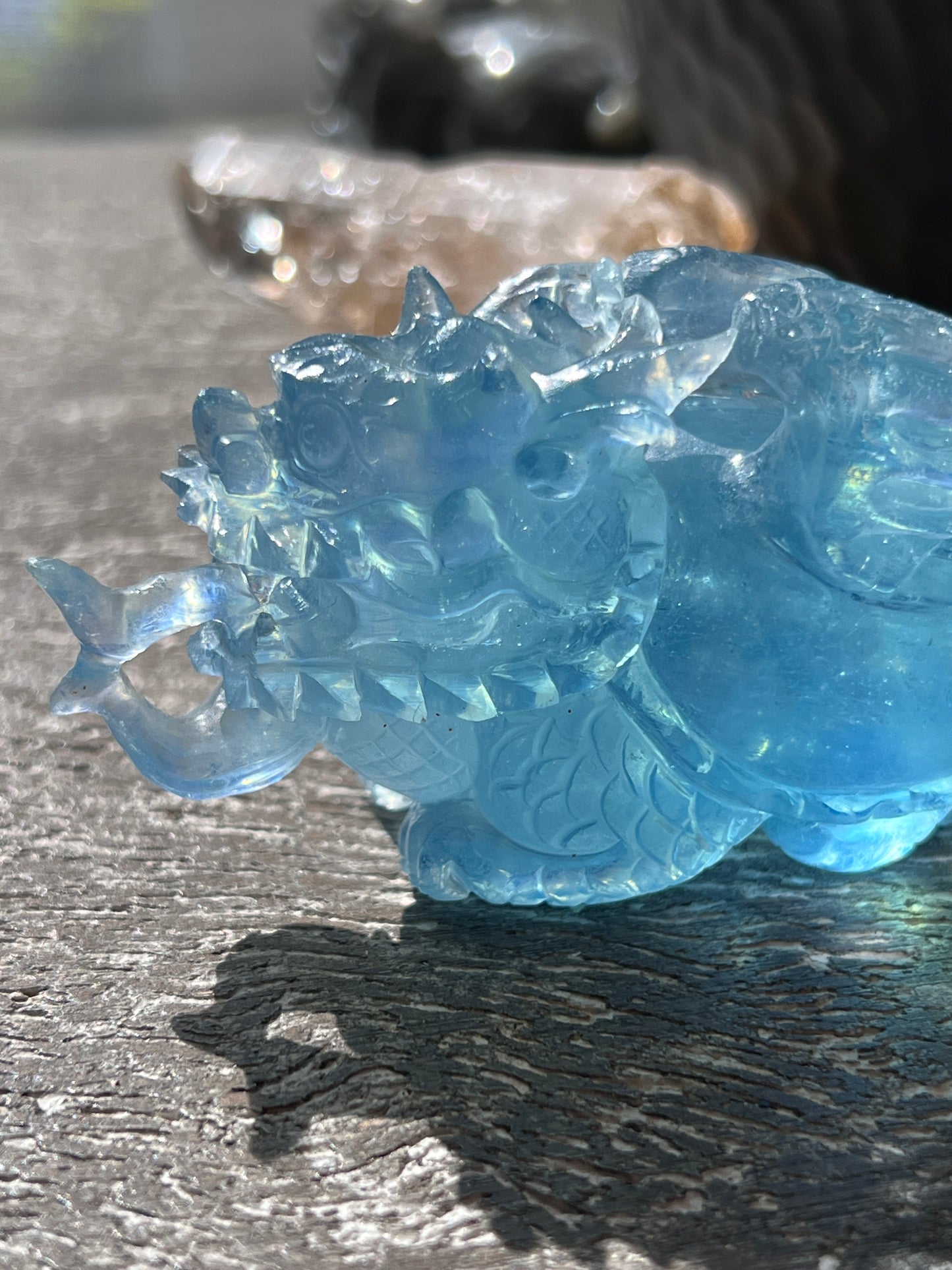 Aquamarine Dragon Turtles