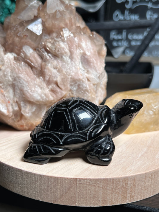 Turtle Carvings