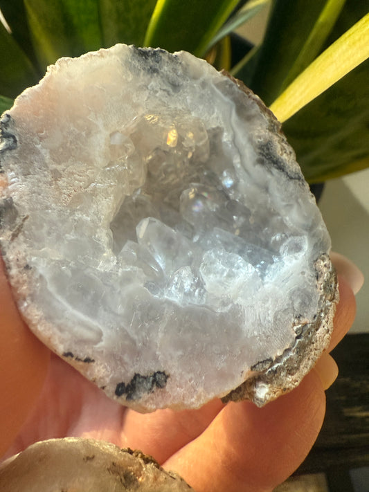 Mexican Lace Agate Geodes