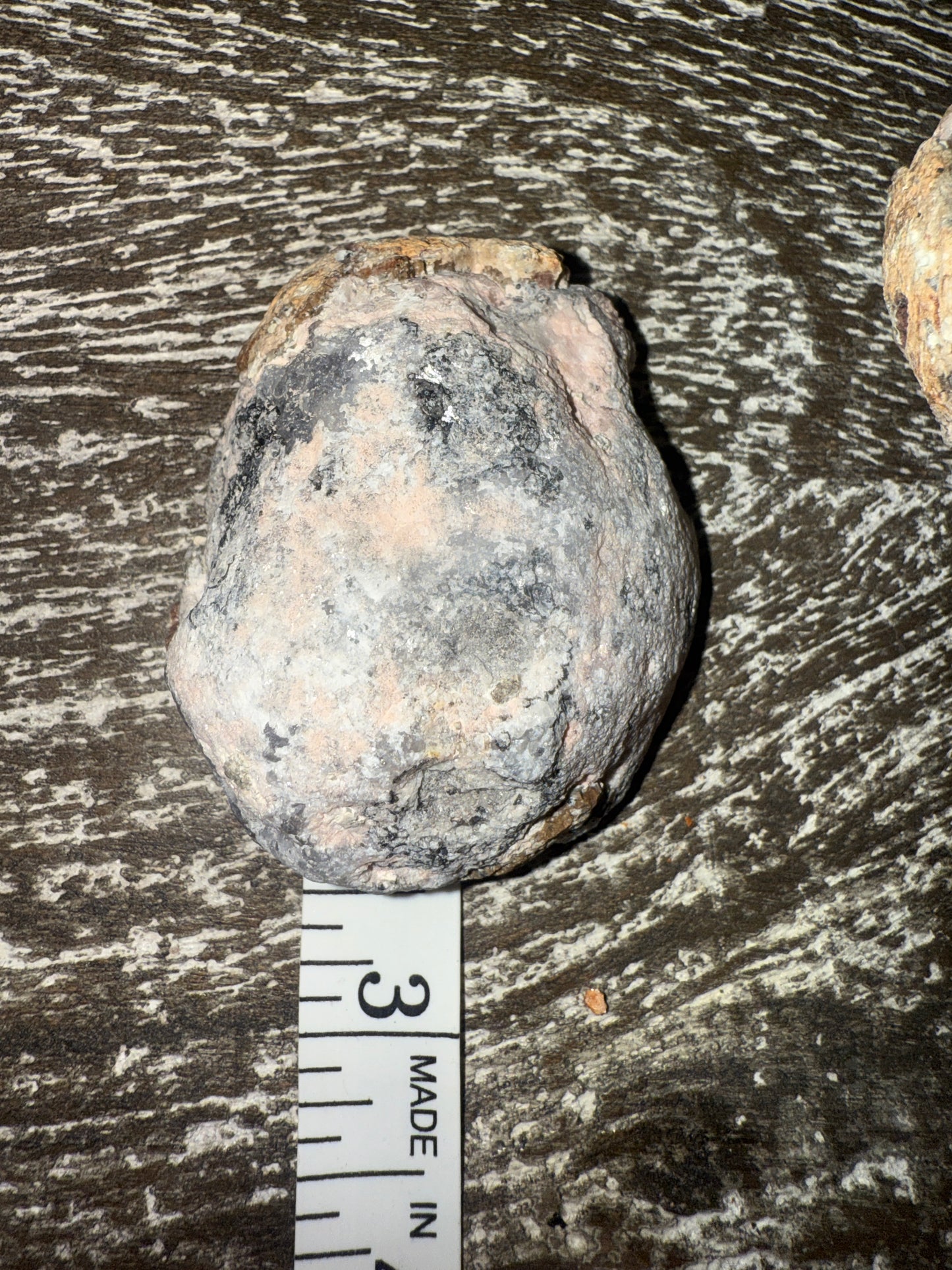 Mexican Lace Agate Geodes