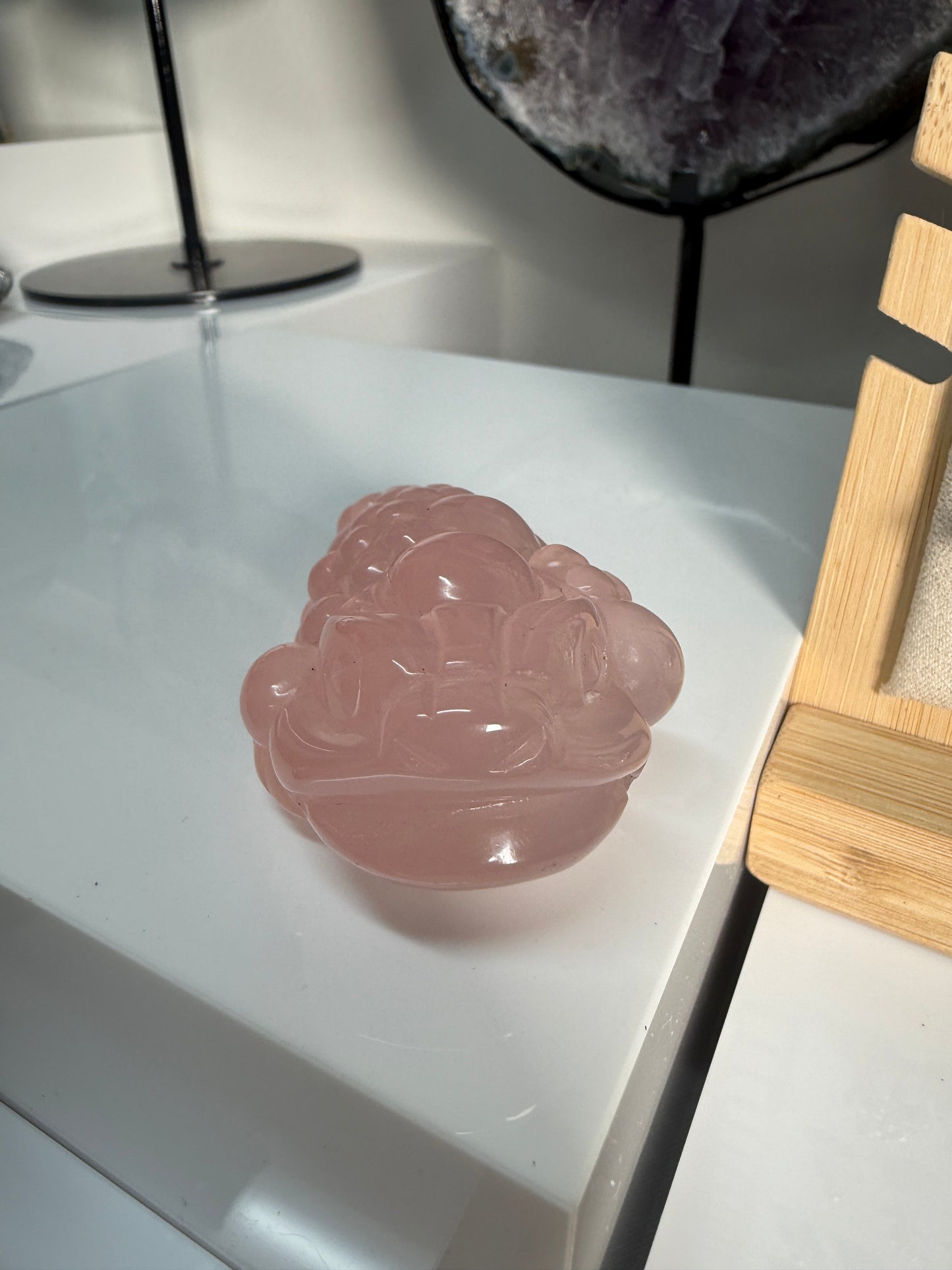 Rose Quartz Money Toads