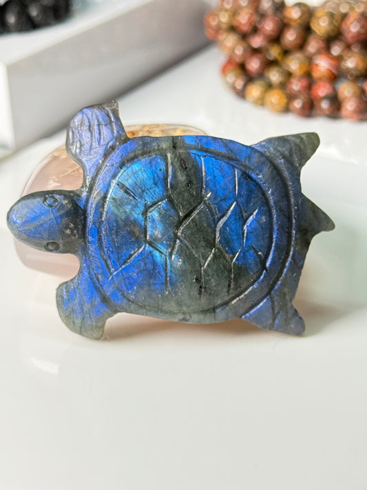 Turtle Carvings