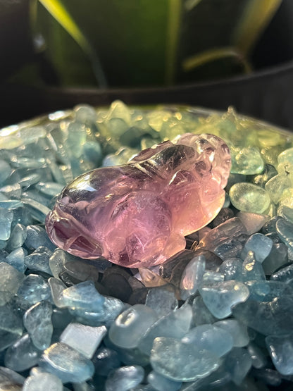 Solid Amethyst Pixiu