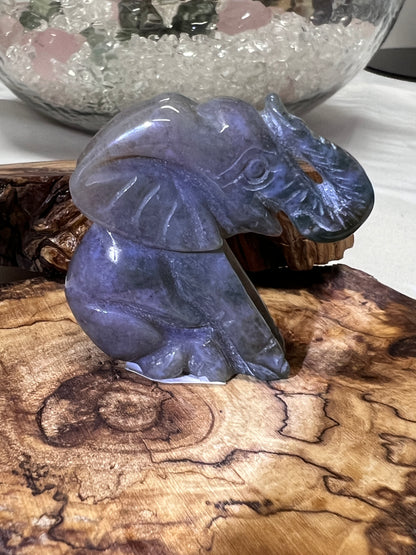 Elephant Carvings