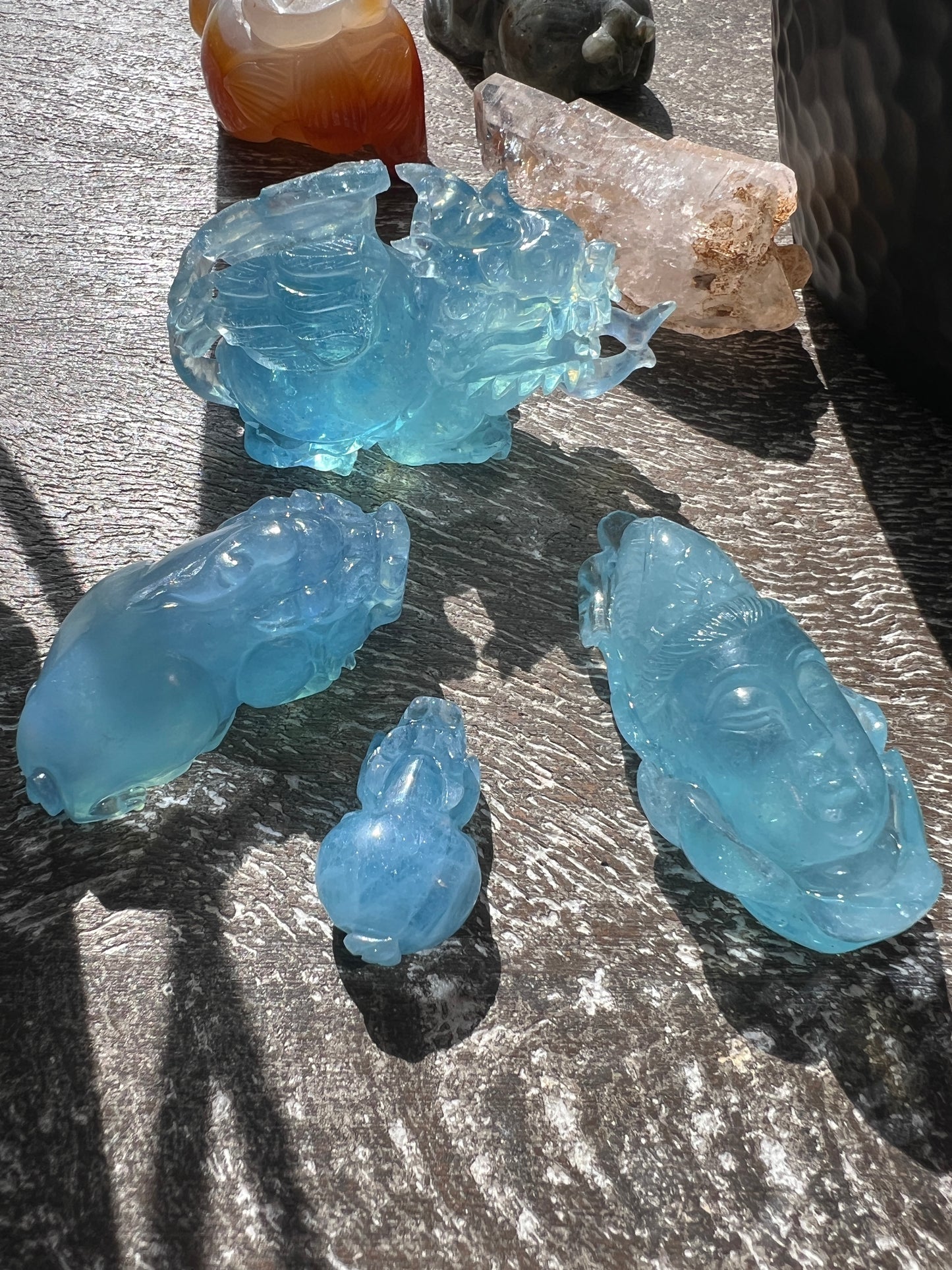 Aquamarine Dragon Turtles