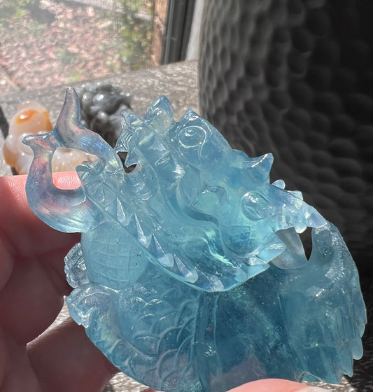 Aquamarine Dragon Turtles