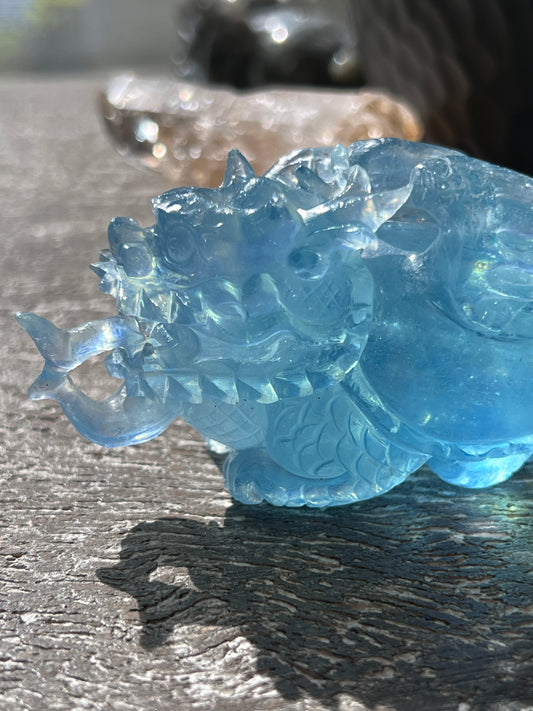 Aquamarine Dragon Turtles