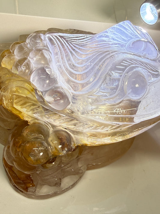 Golden Healer Money Toads