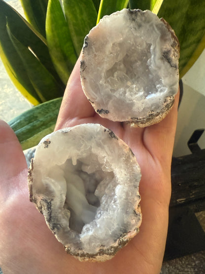 Mexican Lace Agate Geodes