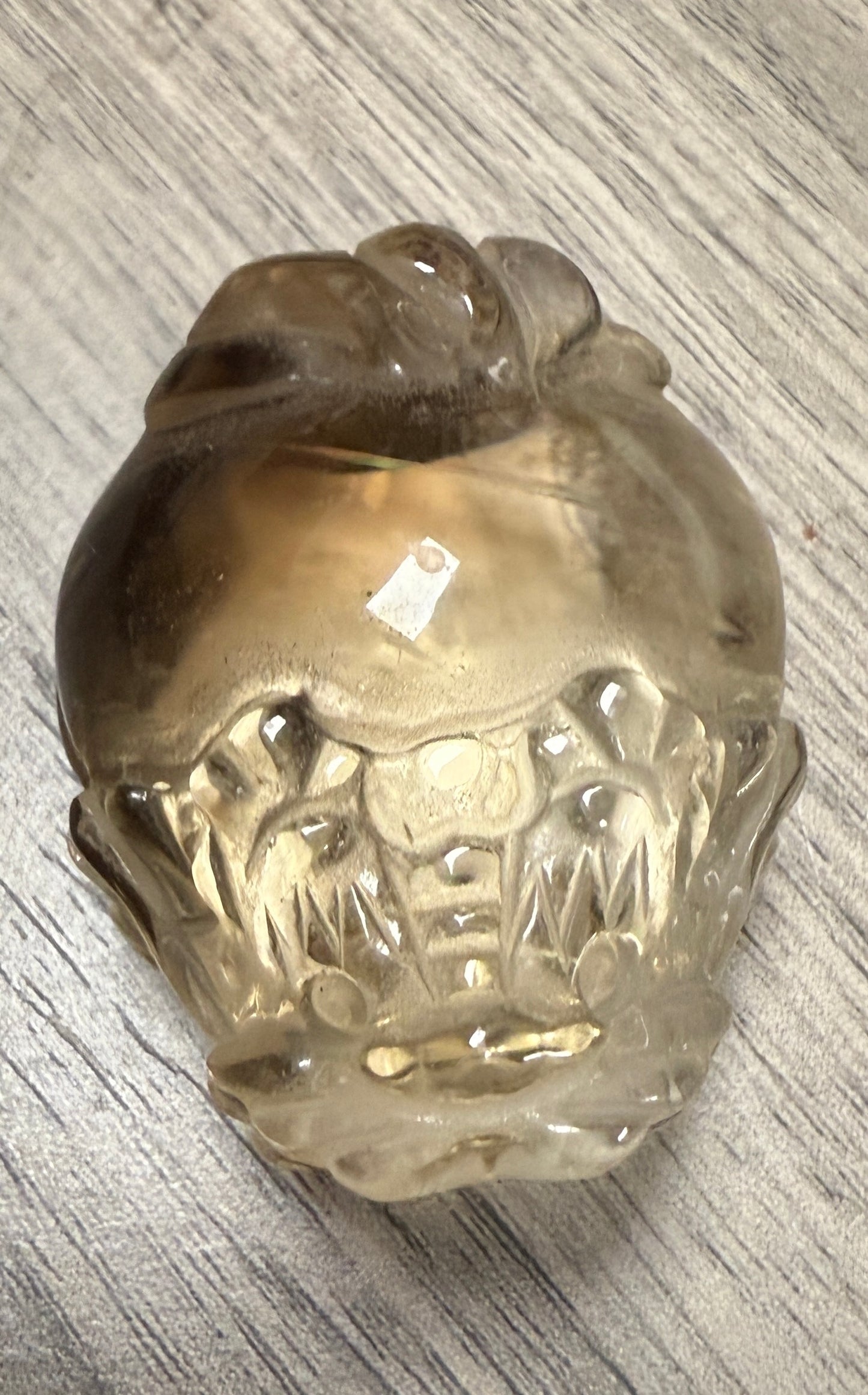 Smokey Citrine Dragon Turtles