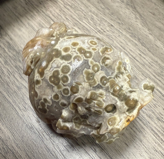 Ocean Jasper Dragon Turtles