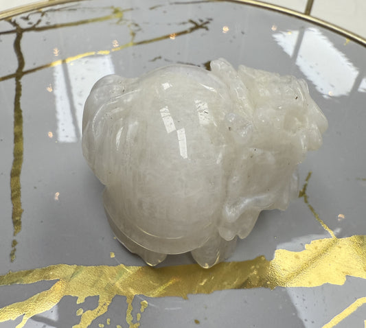 Moonstone Dragon Turtles
