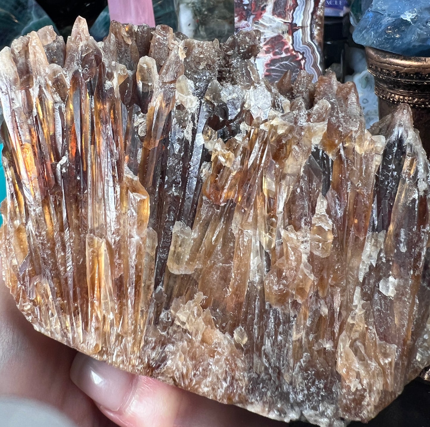 Amber Calcite Large Hedgehog