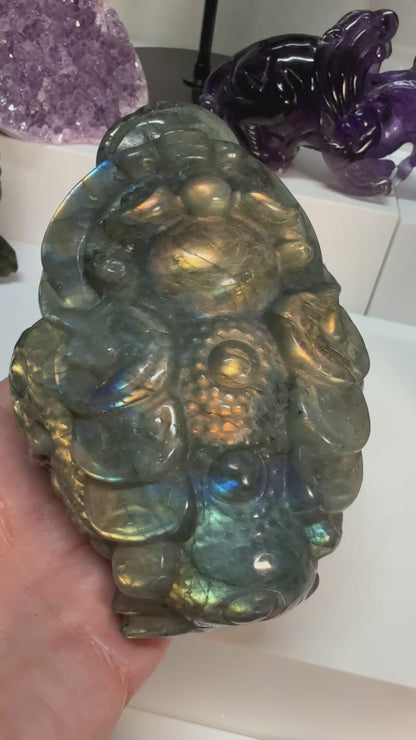 Labradorite Money Toads